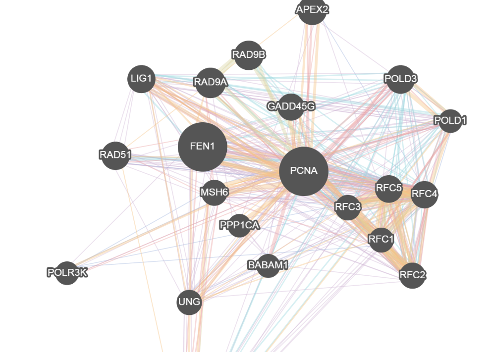 dagre cytoscape